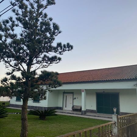 Green Tropical House Ponta Delgada Dış mekan fotoğraf