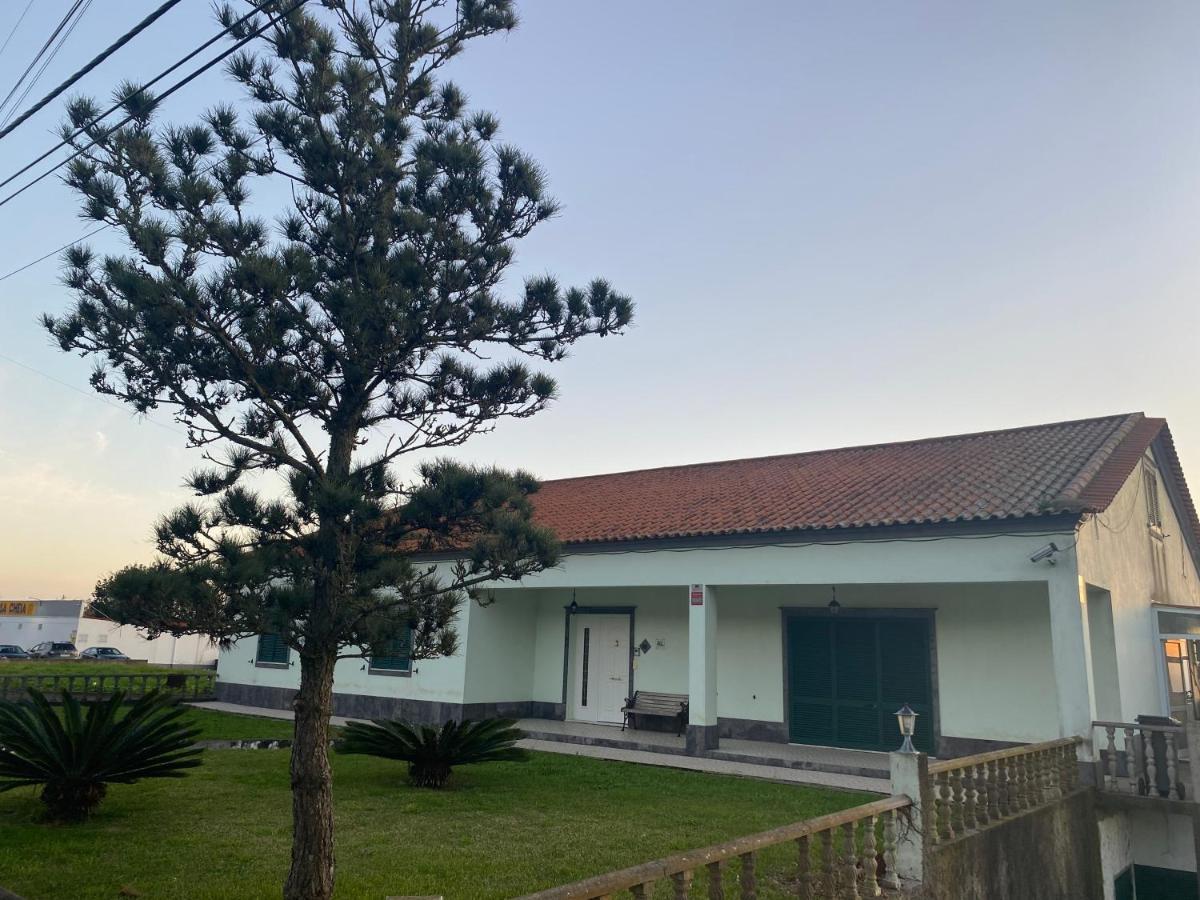 Green Tropical House Ponta Delgada Dış mekan fotoğraf